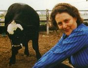 Temple Grandin's experiences with Autism have helped in her work with livestock management